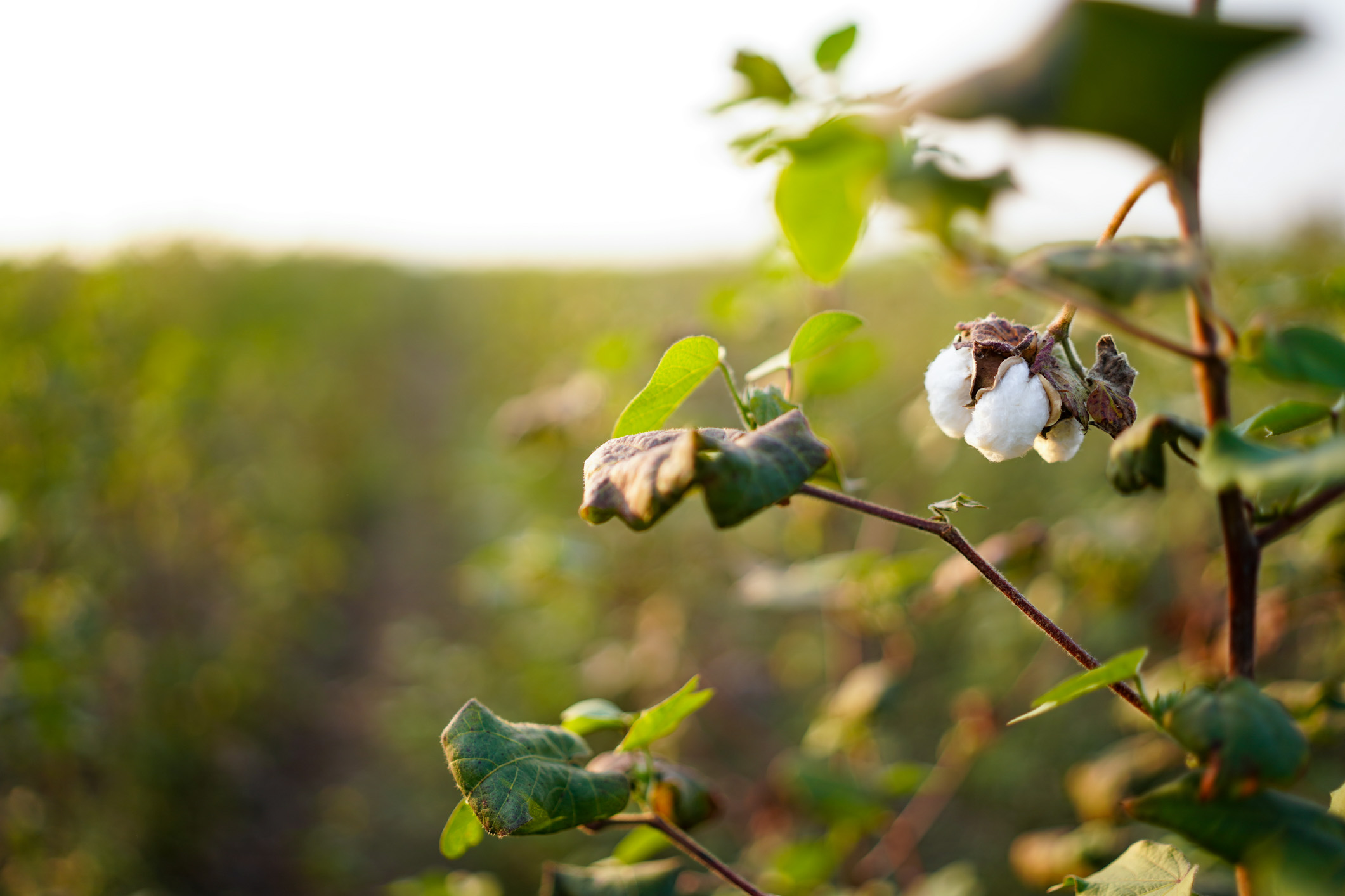 Landscape photography